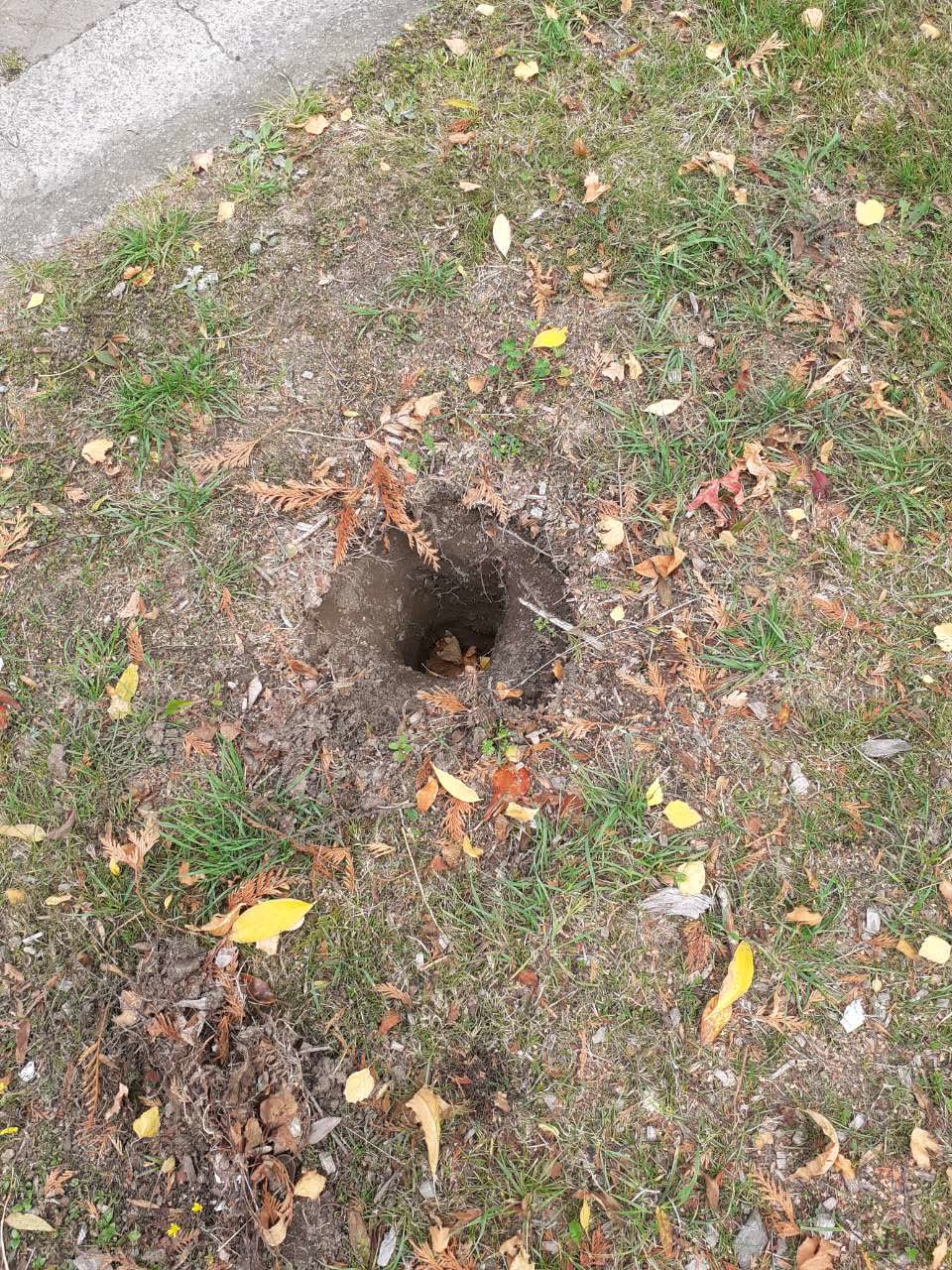 The photograph attached to this roading/streets report