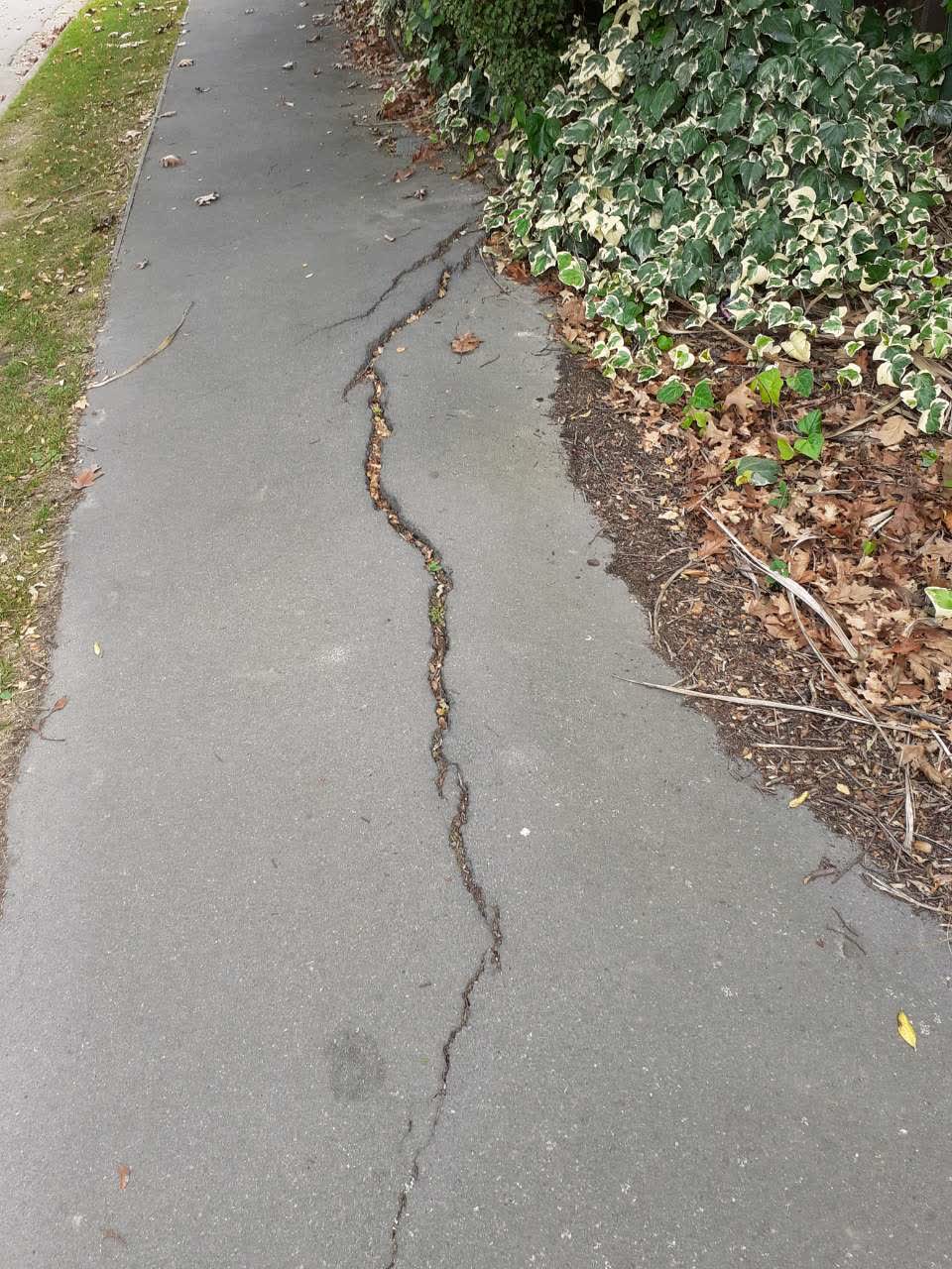 The photograph attached to this roading/streets report