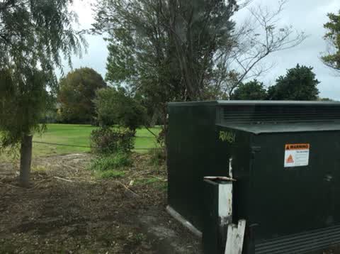 Graffiti — a report photo