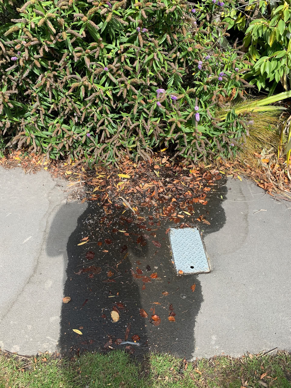 The photograph attached to this water supply report