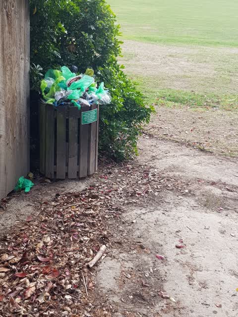 Rubbish/Recycling, a report photo