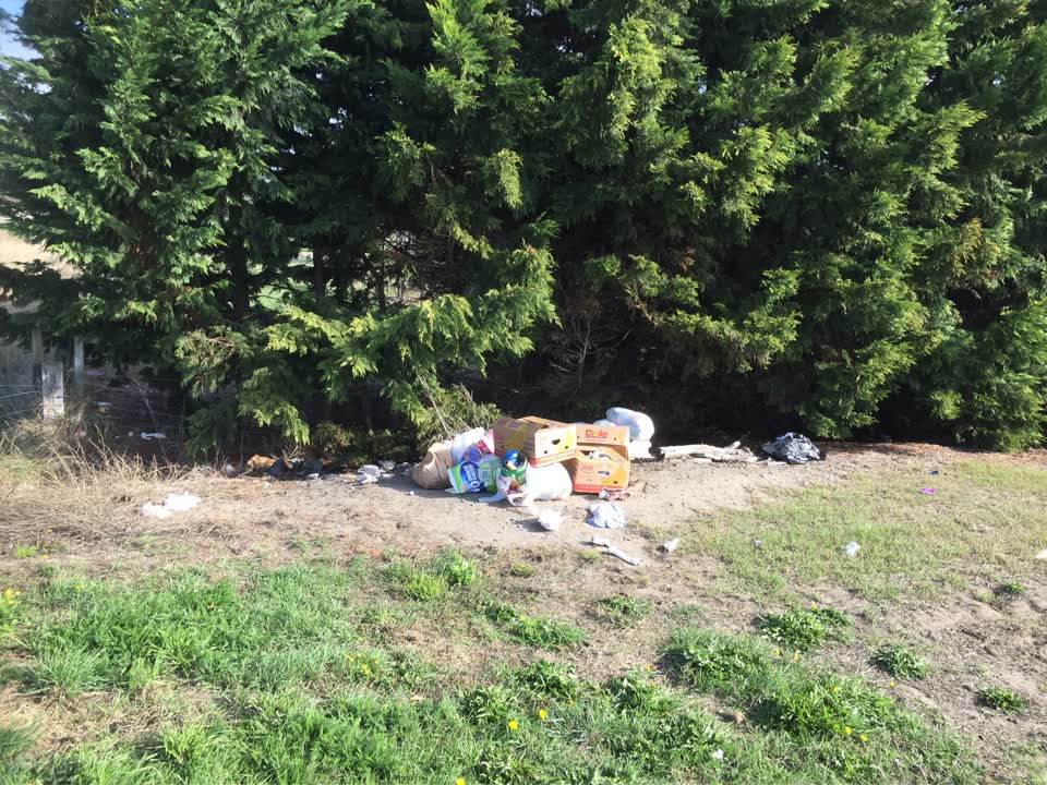 The photograph attached to this rubbish/recycling report