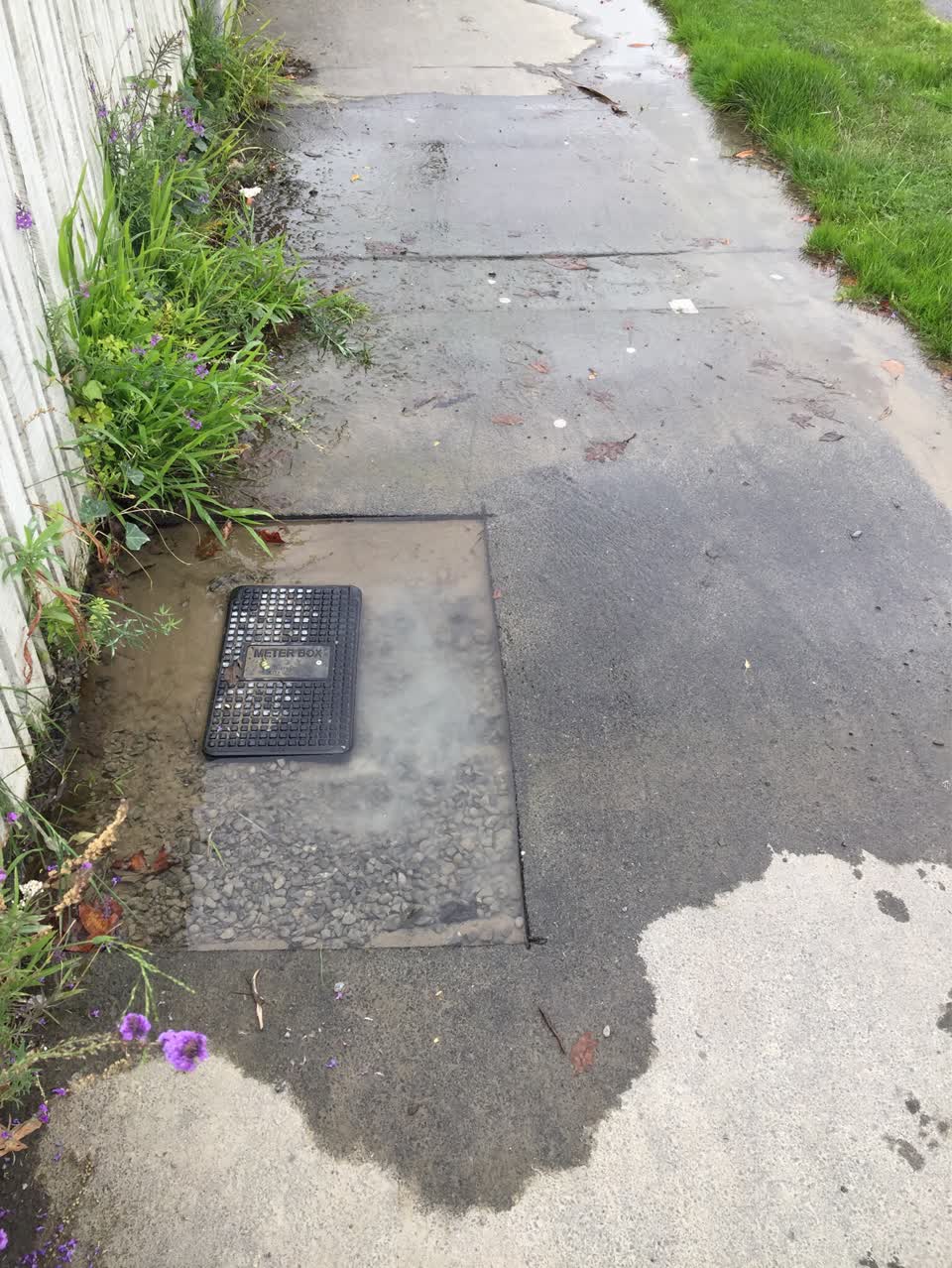 The photograph attached to this water supply report