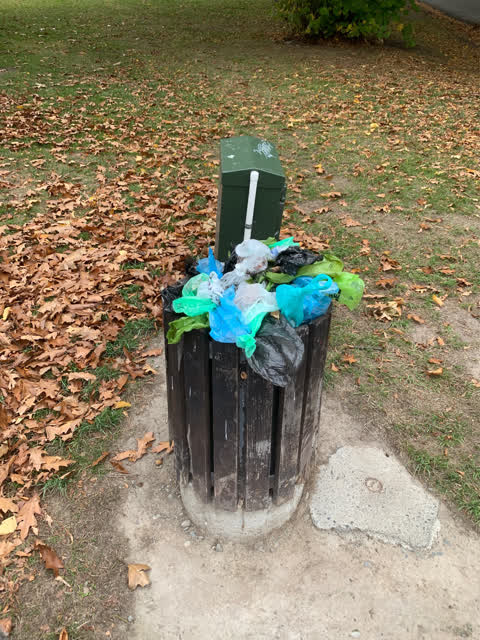 Rubbish/Recycling, a report photo