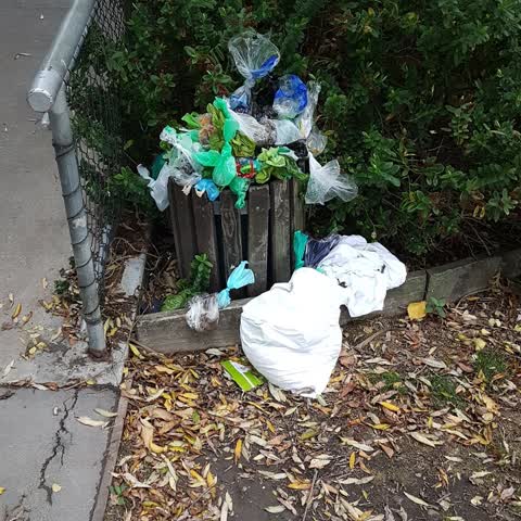Rubbish/Recycling — a report photo