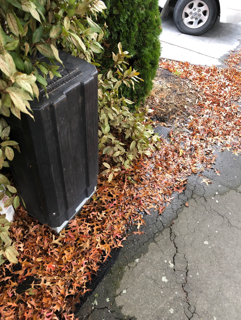 The photograph attached to this water supply report