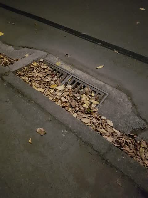 Wastewater/Stormwater, a report photo