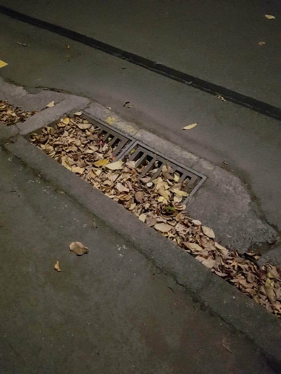 The photograph attached to this wastewater/stormwater report