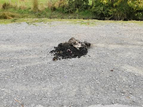 Rubbish/Recycling — a report photo