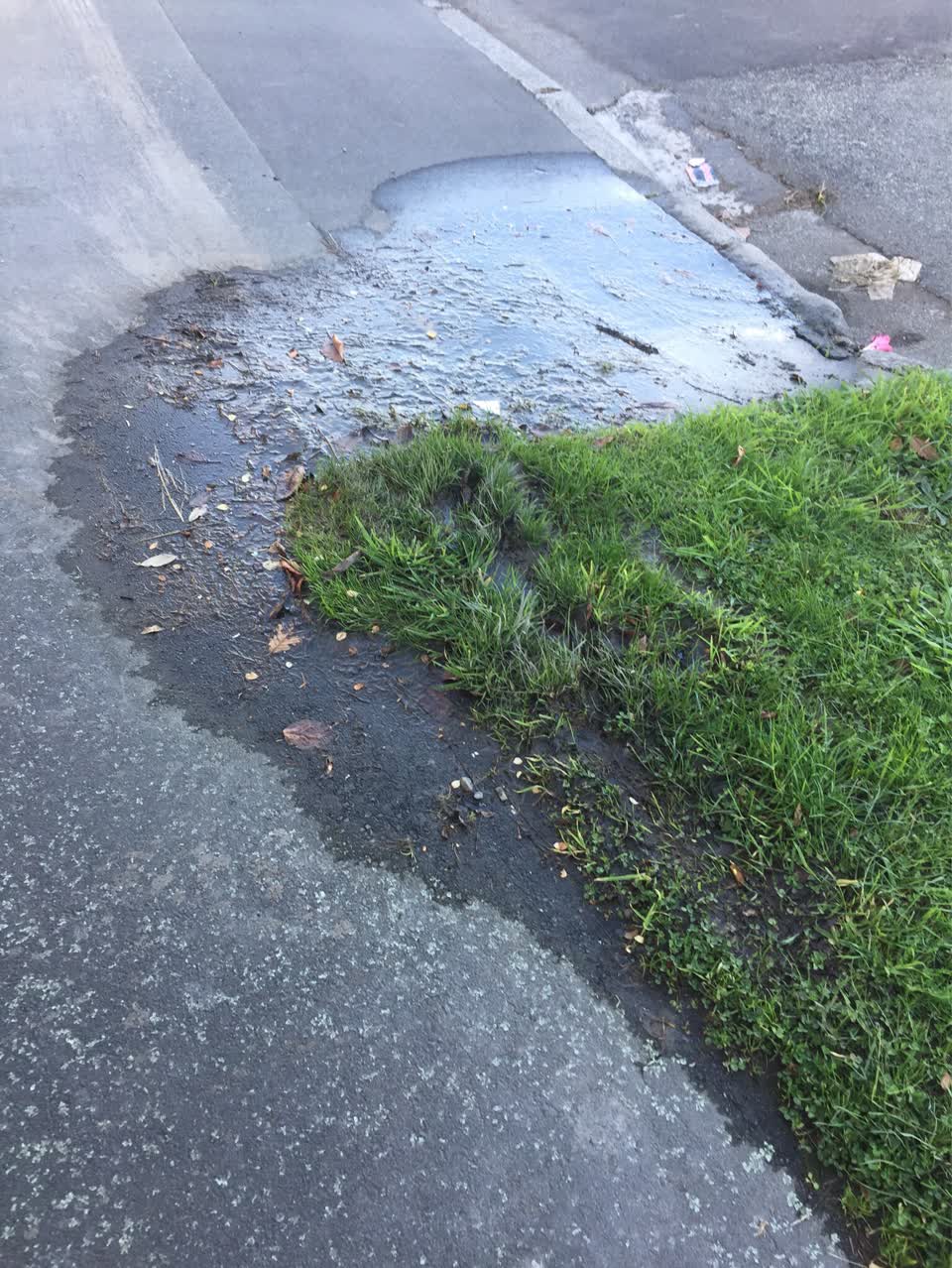 The photograph attached to this water supply report