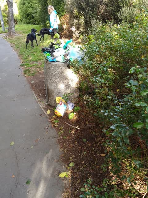 Parks, a report photo