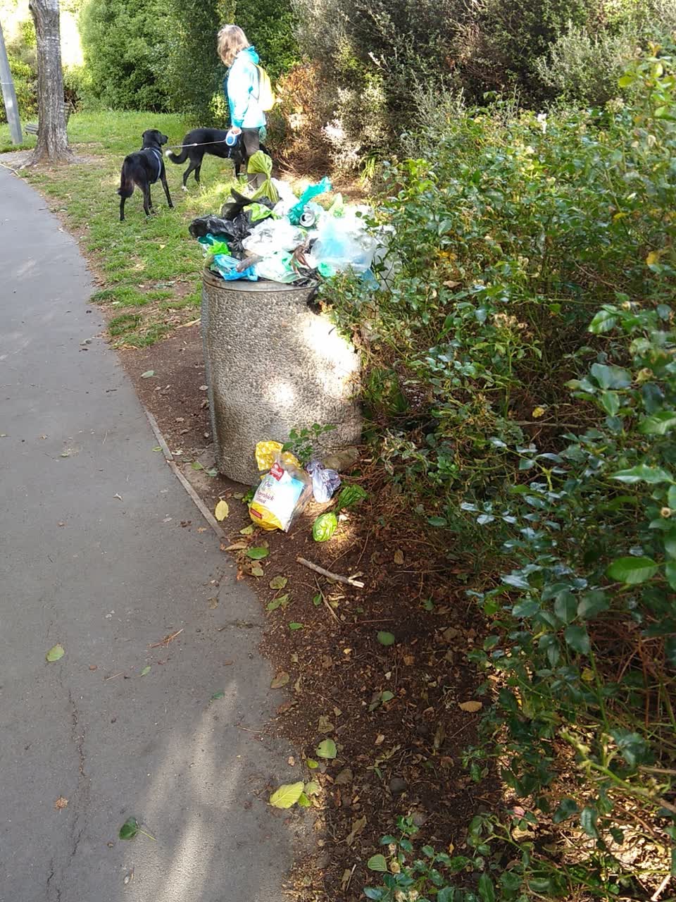 The photograph attached to this parks report