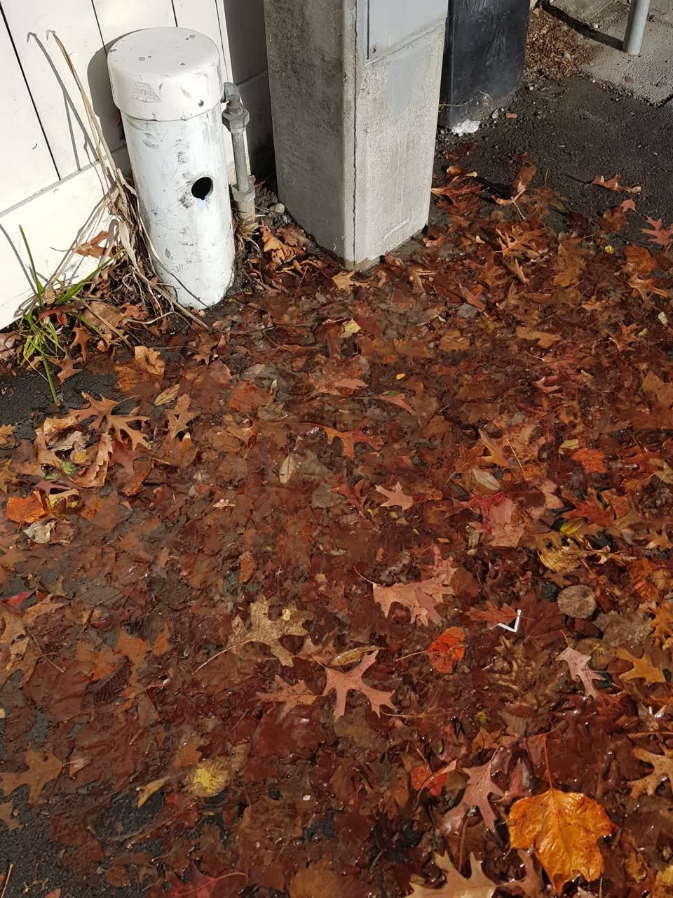 The photograph attached to this water supply report