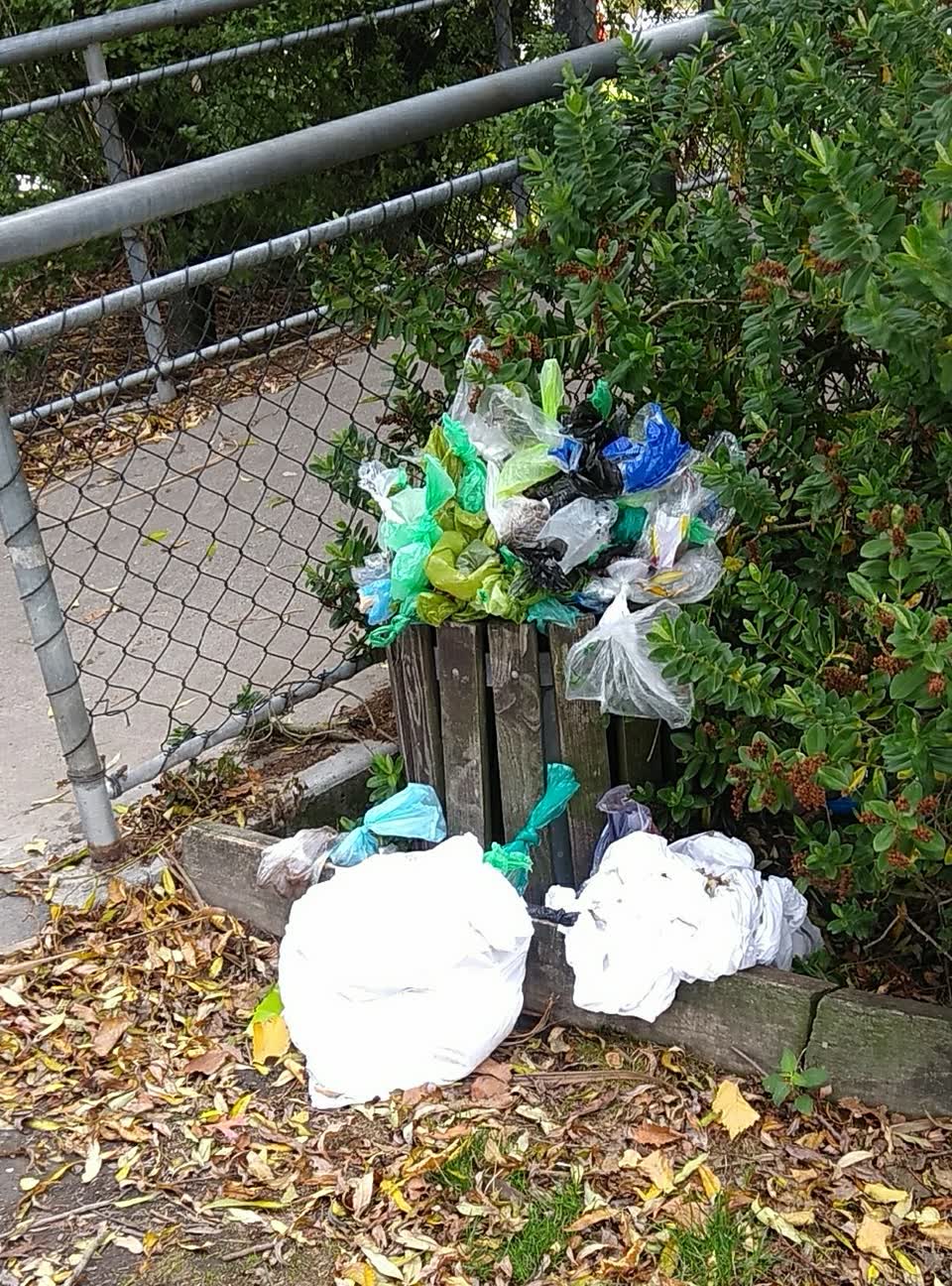 The photograph attached to this parks report