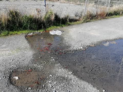 Water Supply, a report photo