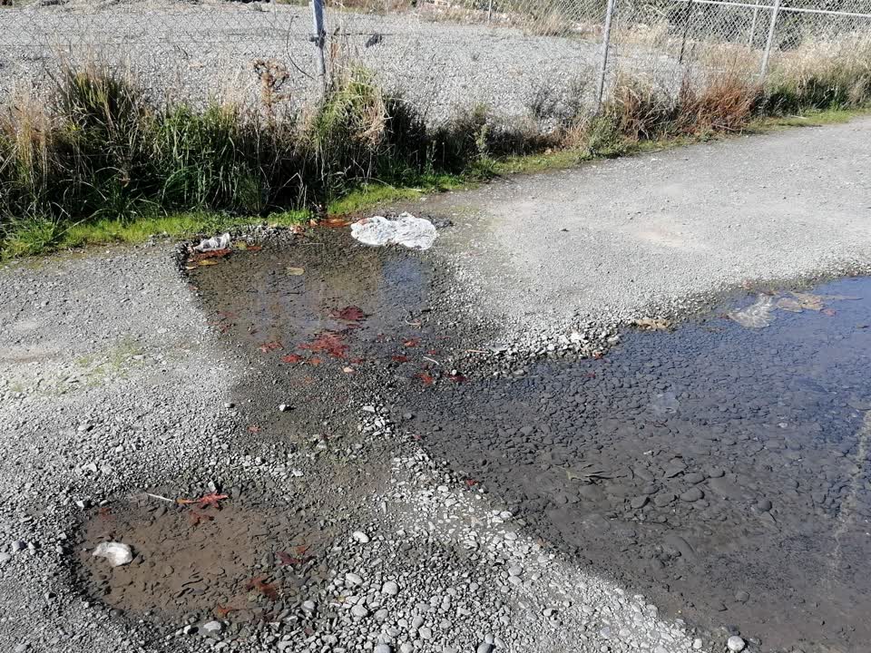 The photograph attached to this water supply report