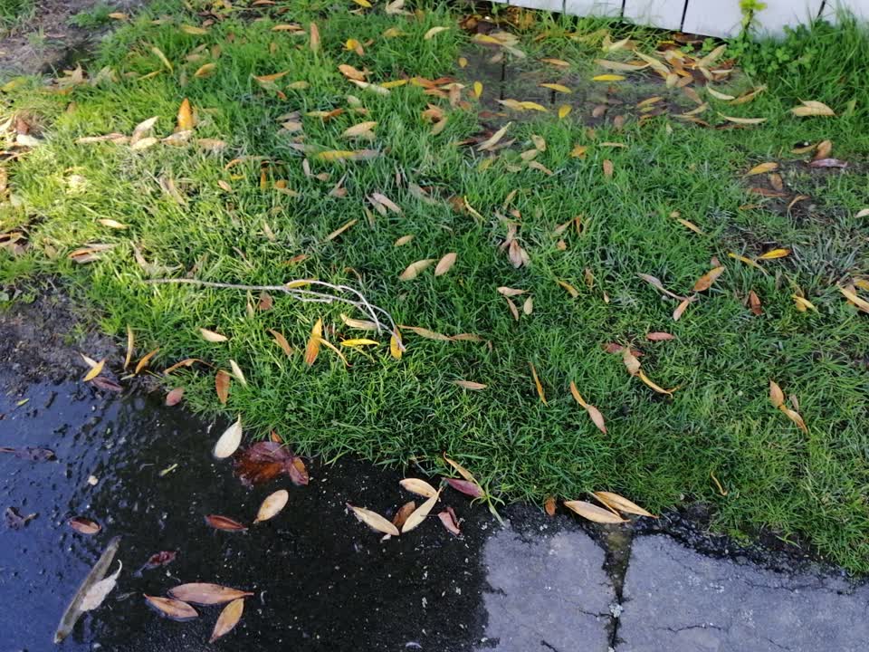 The photograph attached to this water supply report