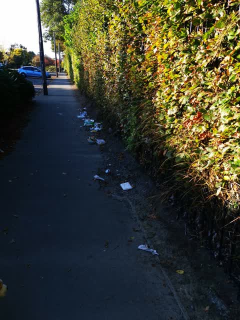 Rubbish/Recycling, a report photo