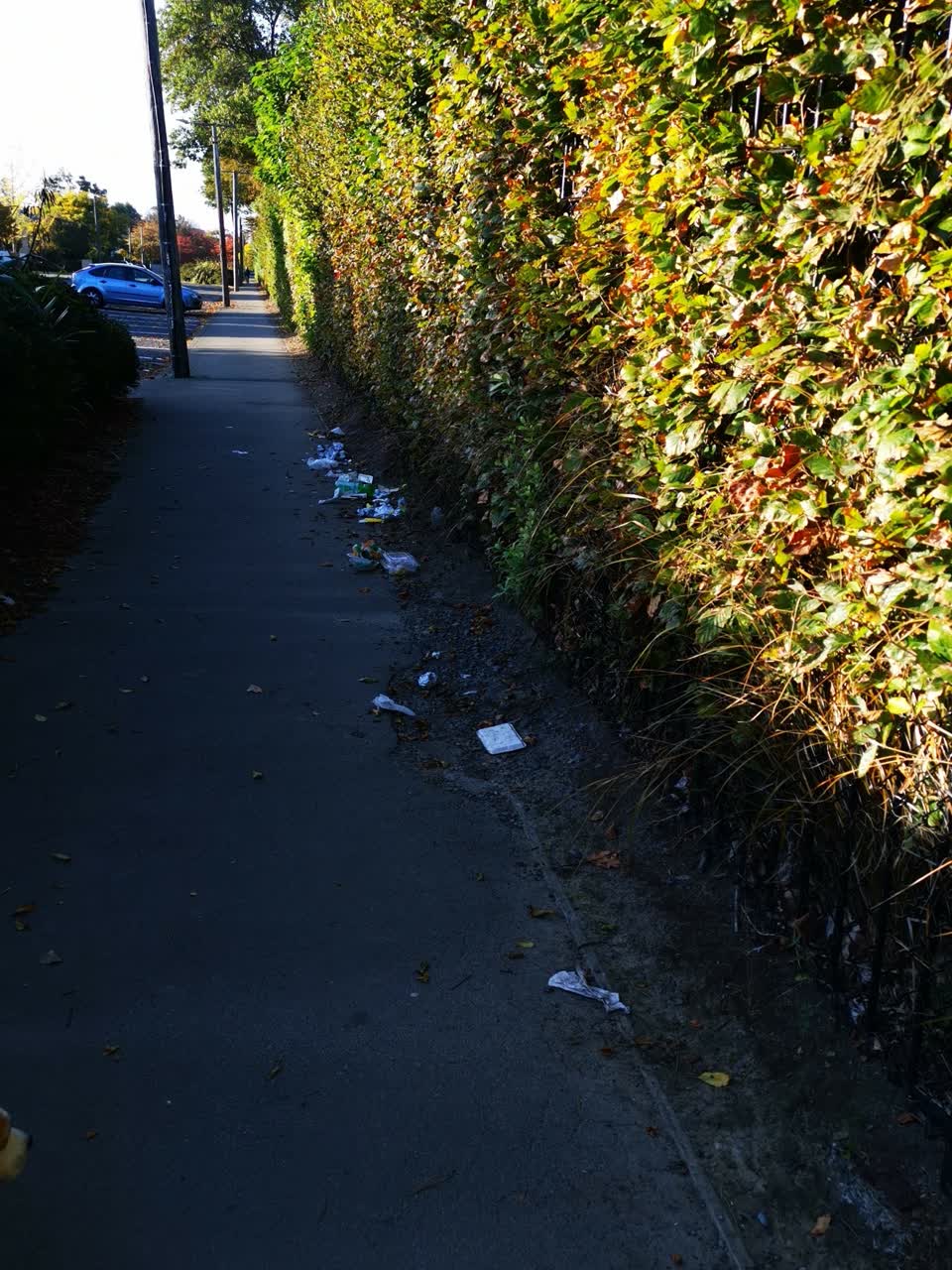 The photograph attached to this rubbish/recycling report