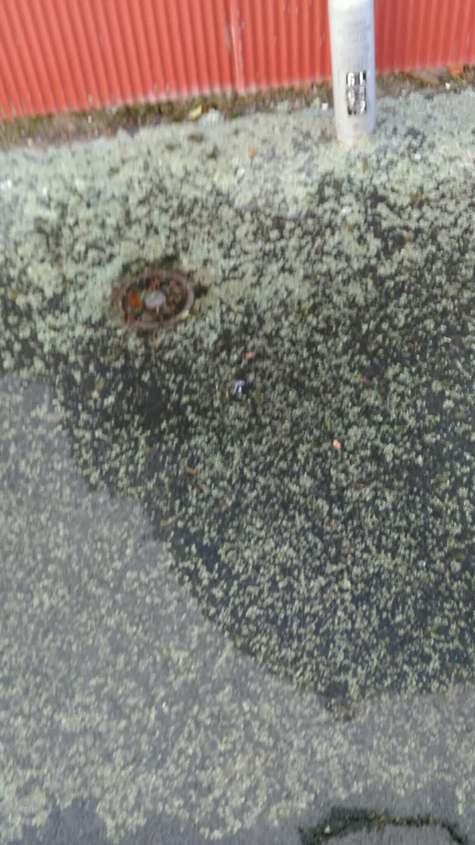 The photograph attached to this water supply report