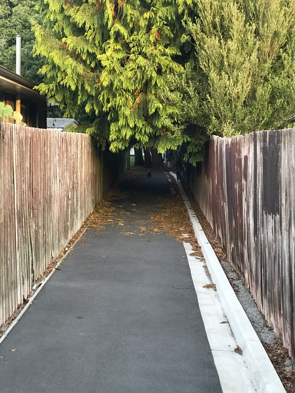The photograph attached to this parks report