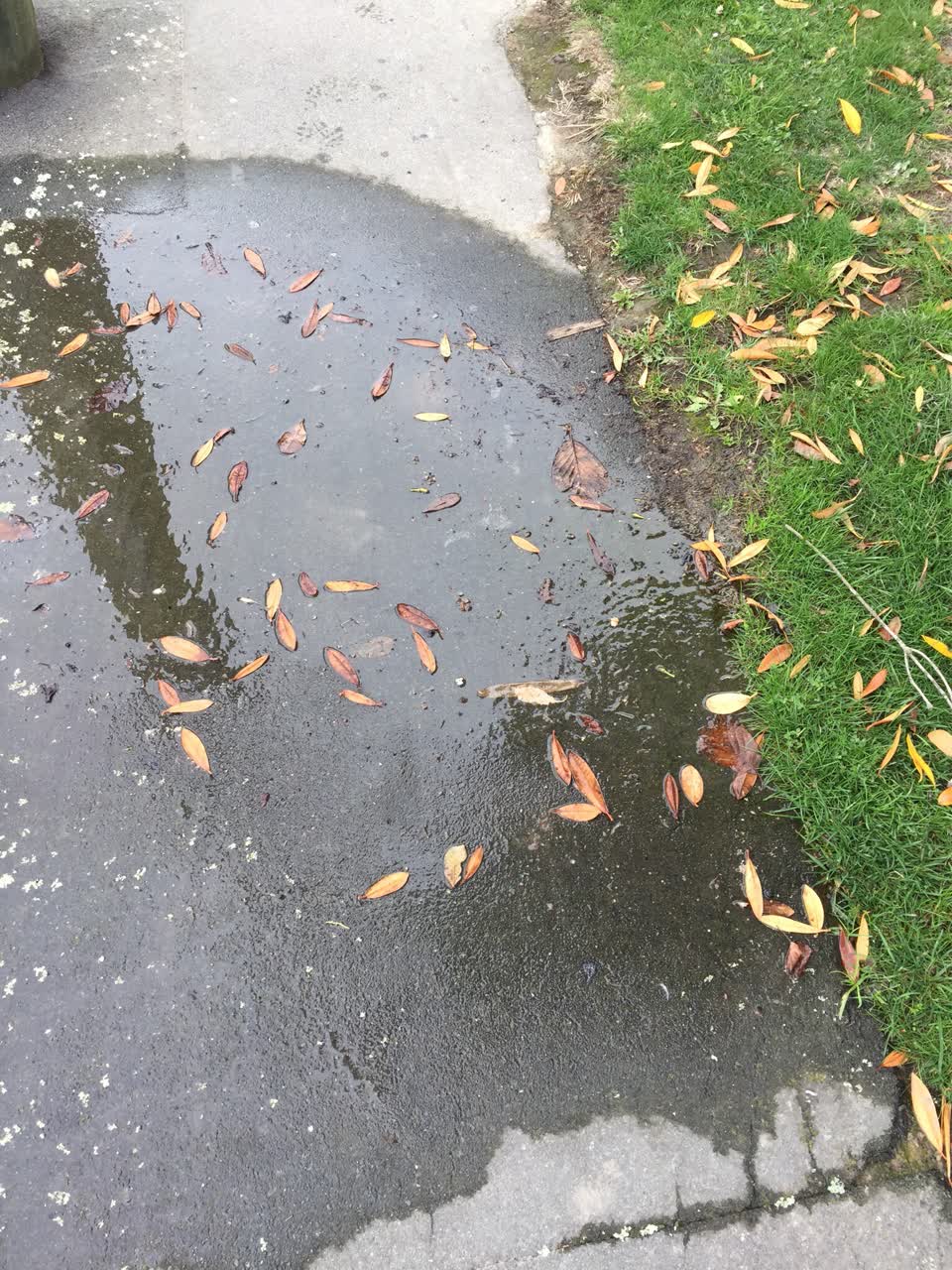 The photograph attached to this water supply report