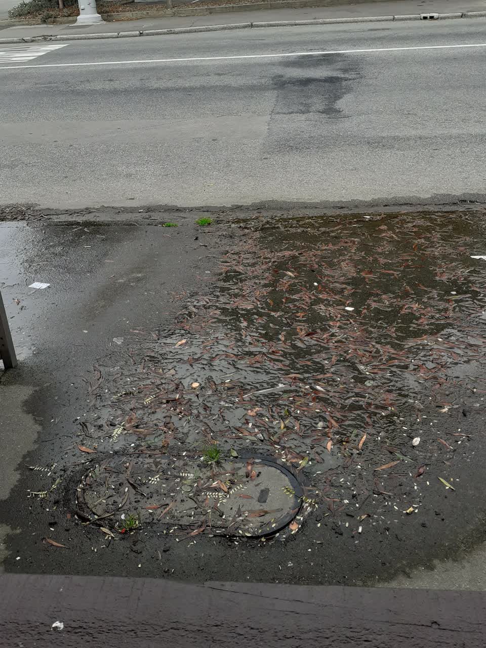 The photograph attached to this wastewater/stormwater report