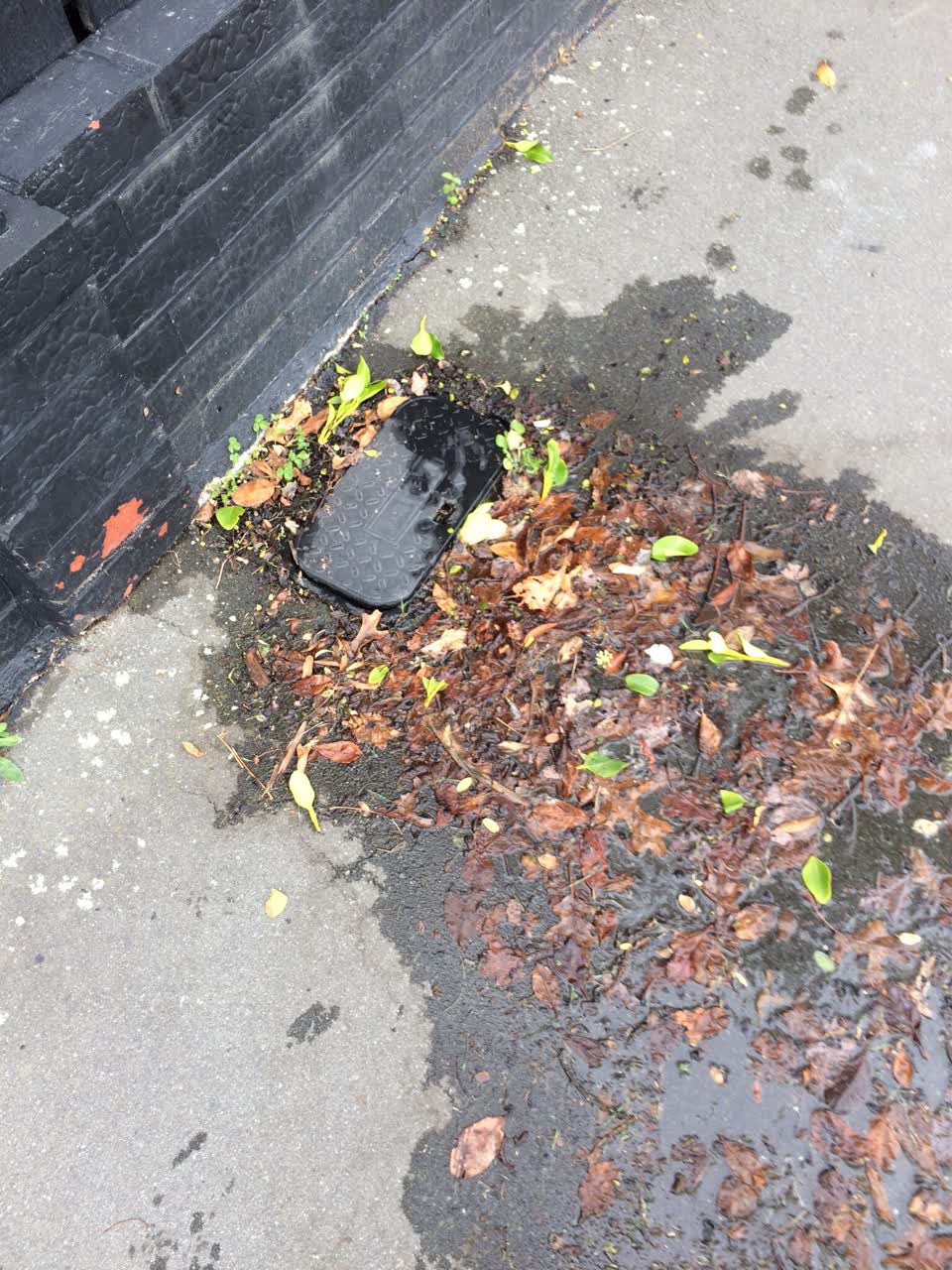 The photograph attached to this water supply report