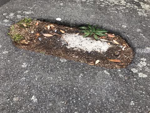 Roading/Streets, a report photo