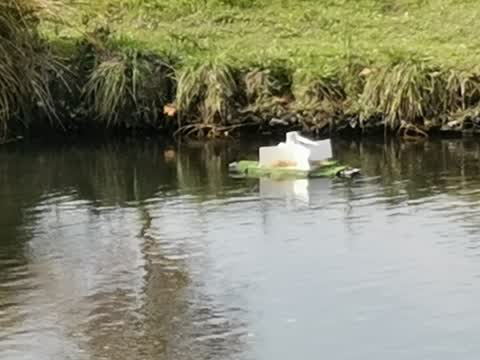 Rubbish/Recycling, a report photo