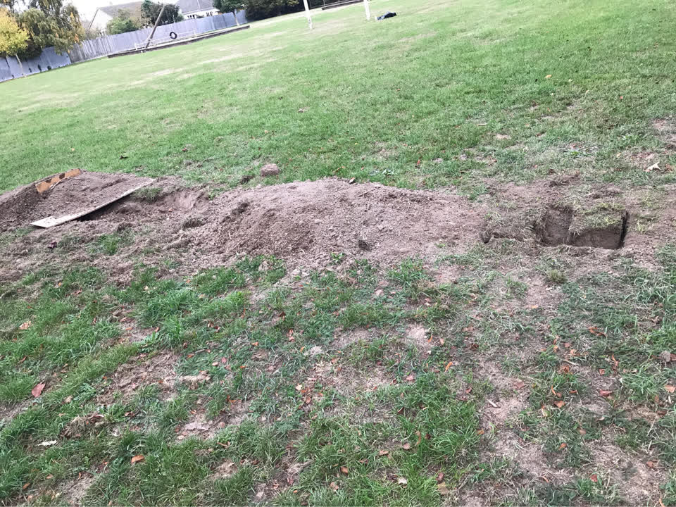 The photograph attached to this parks report