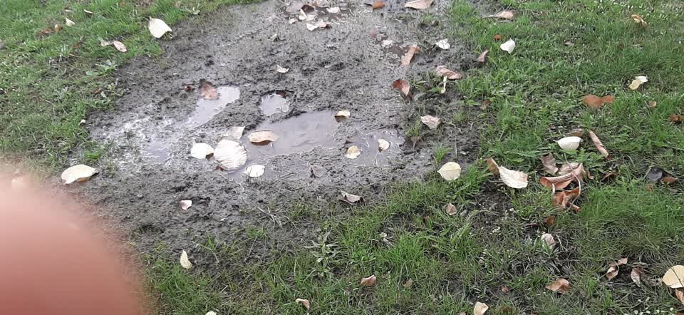 The photograph attached to this water supply report