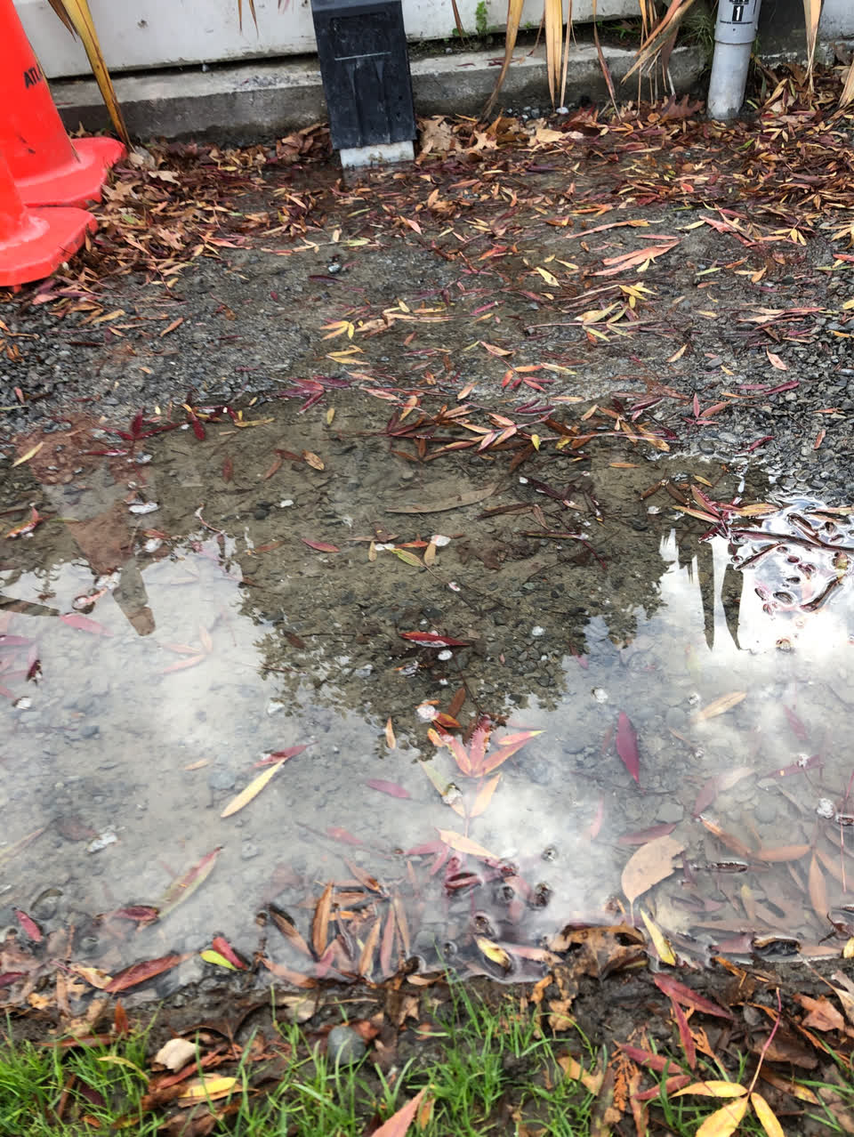 The photograph attached to this water supply report