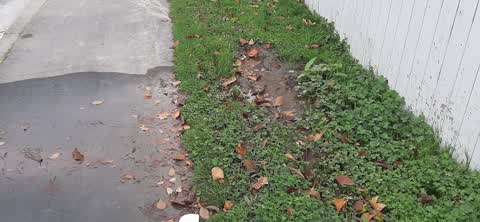 Water Supply, a report photo
