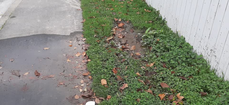 The photograph attached to this water supply report