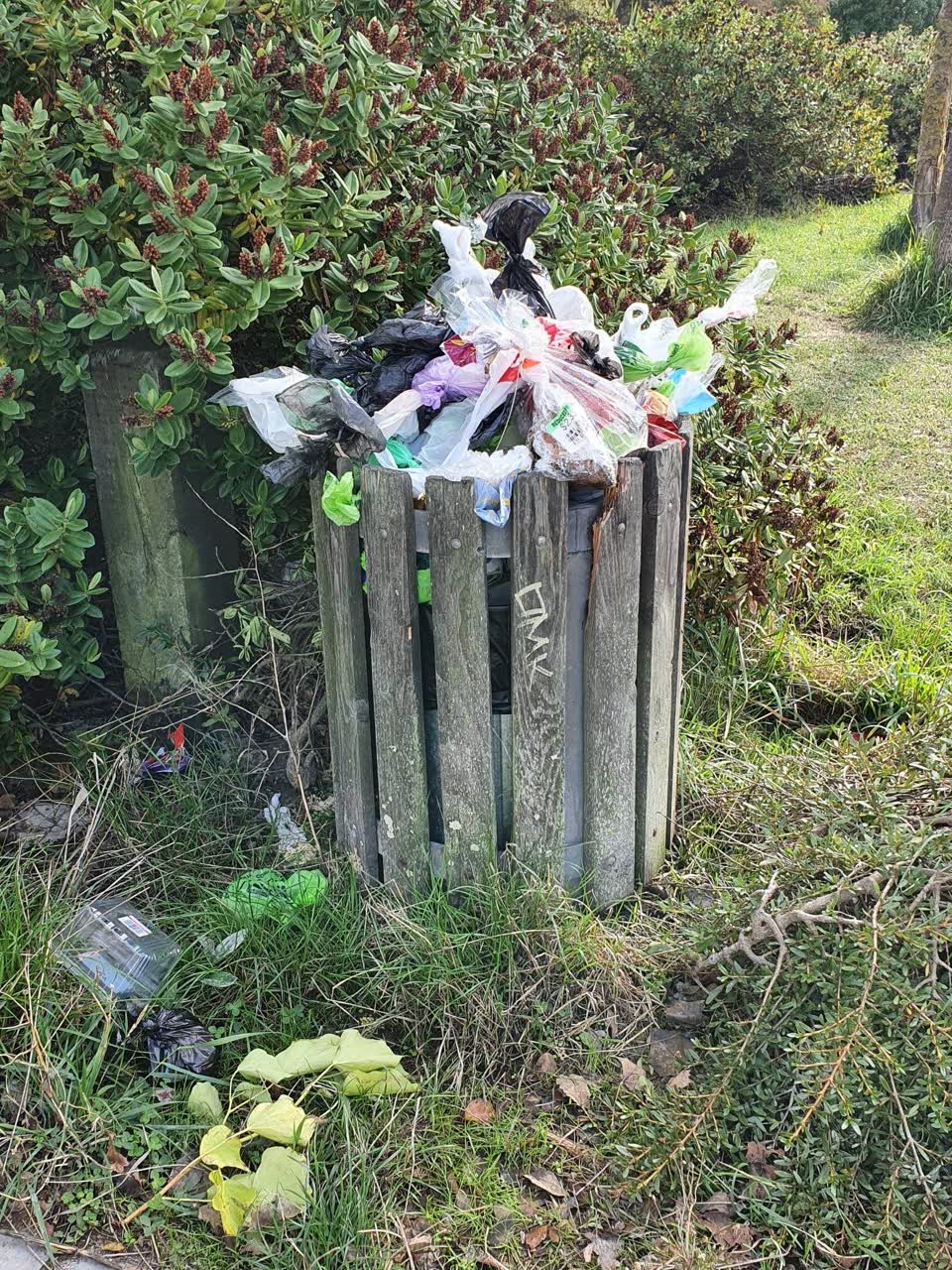 The photograph attached to this rubbish/recycling report