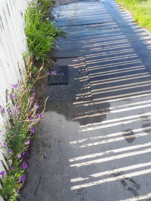 Water Supply, a report photo