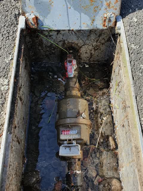Water Supply, a report photo