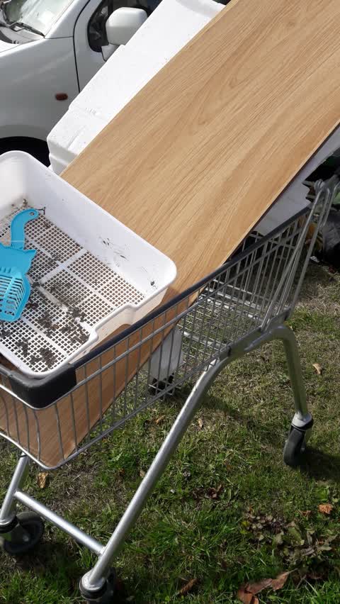 Rubbish/Recycling — a report photo