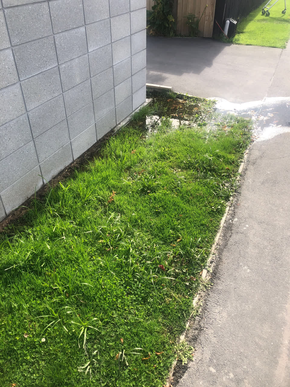 The photograph attached to this water supply report