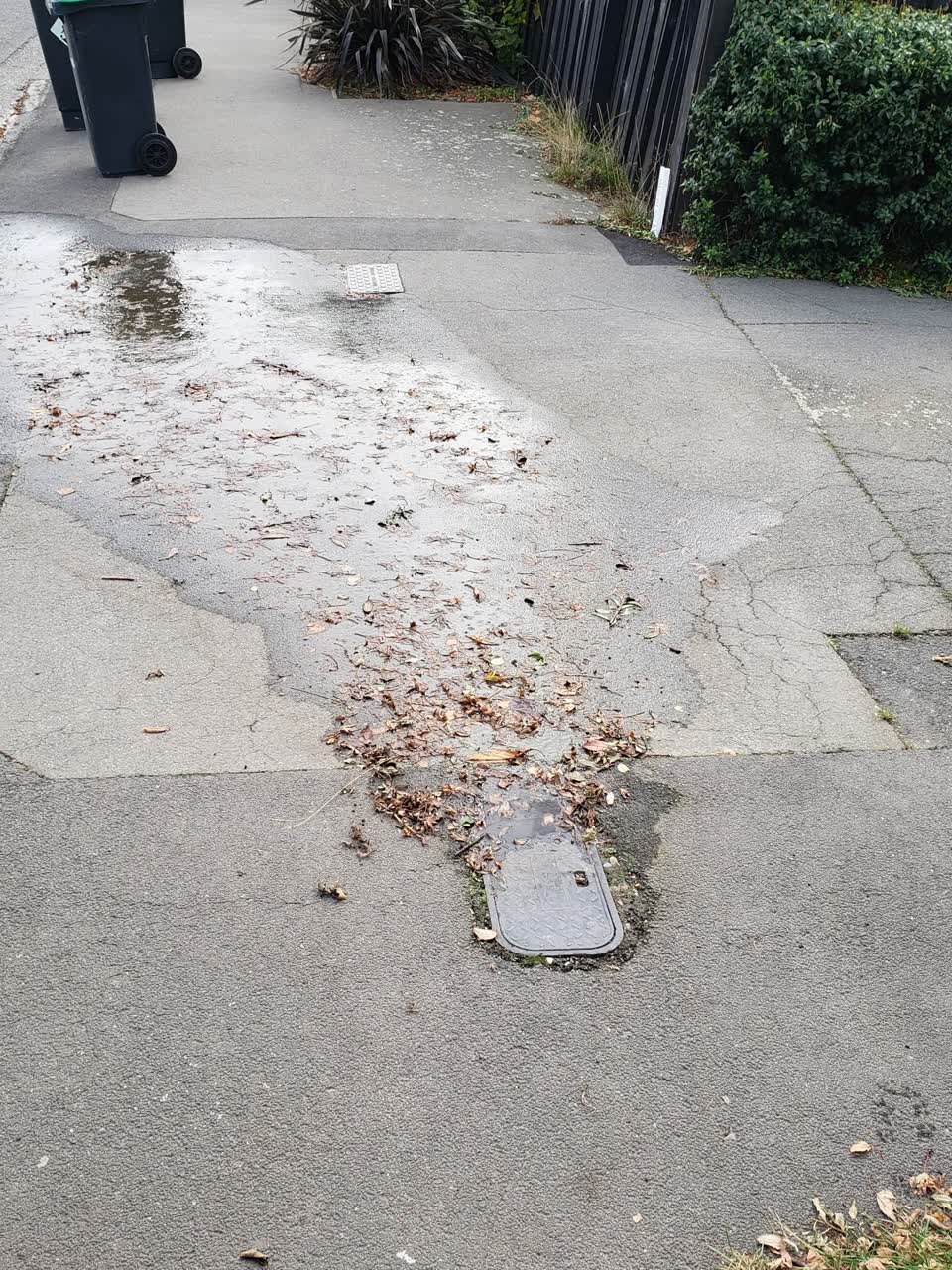 The photograph attached to this water supply report