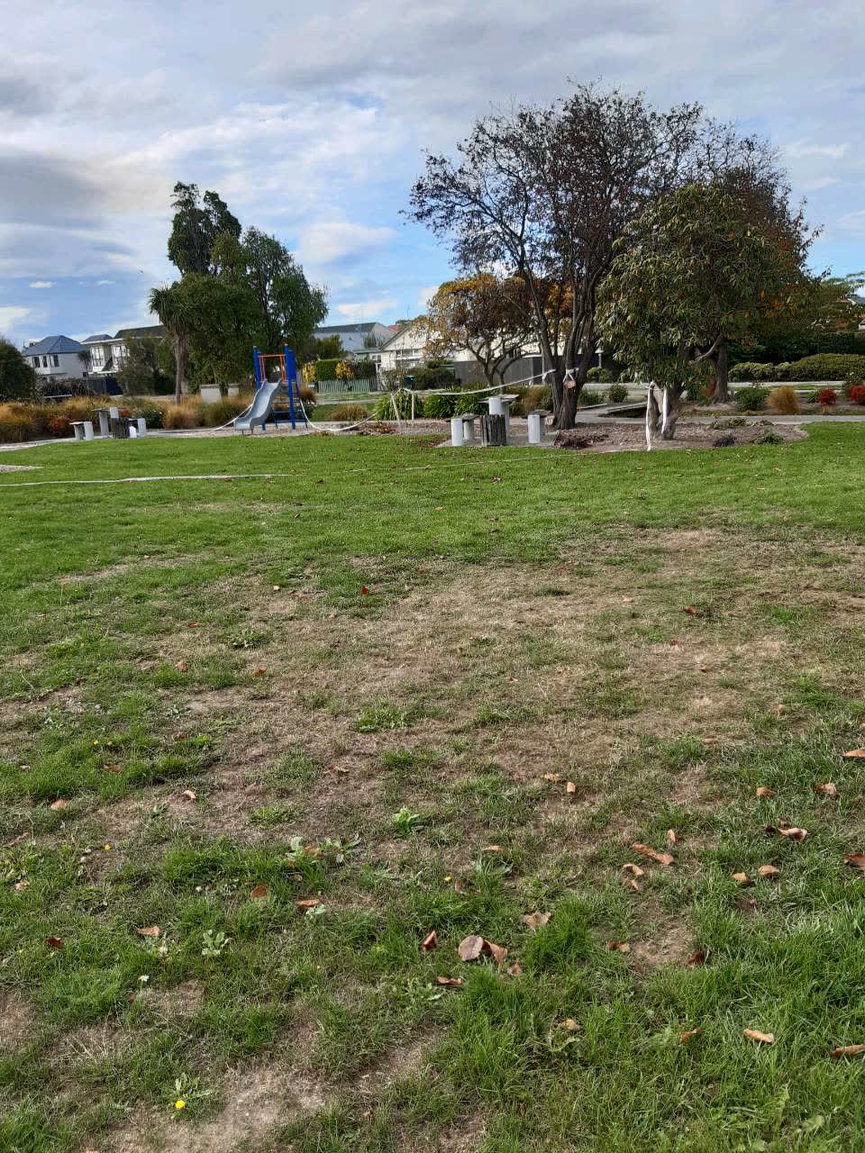 The photograph attached to this parks report