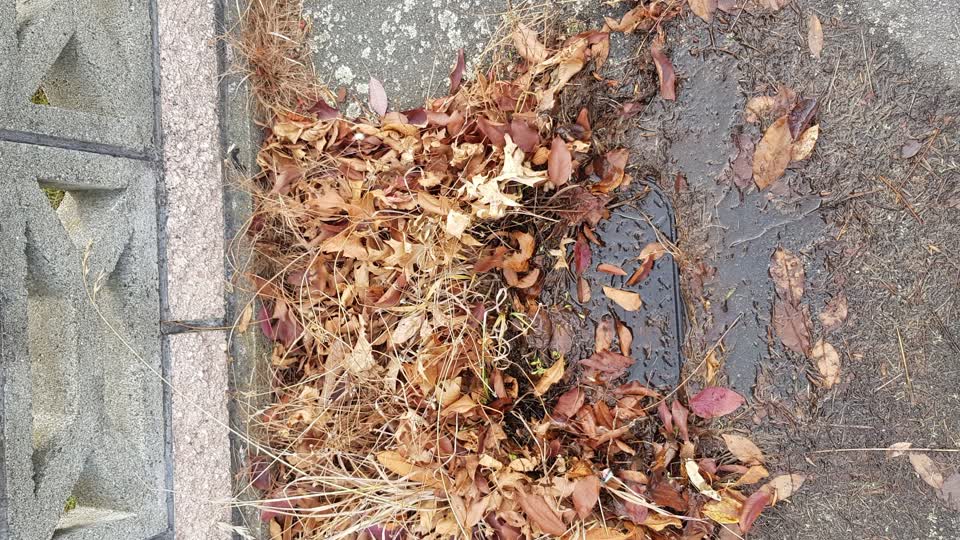 The photograph attached to this water supply report