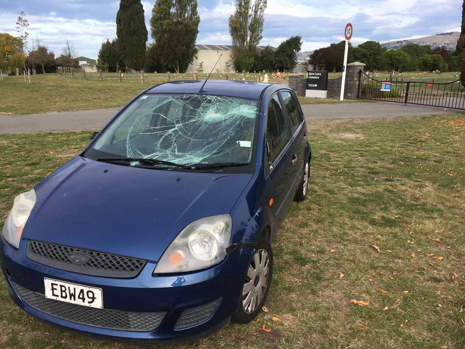 The photograph attached to this parks report