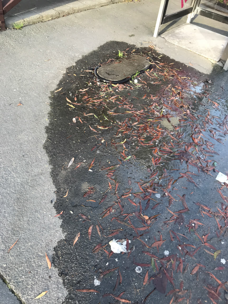 The photograph attached to this wastewater/stormwater report