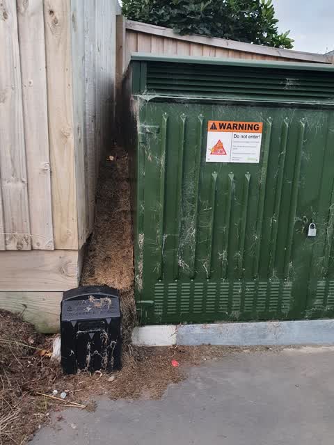 Rubbish/Recycling, a report photo