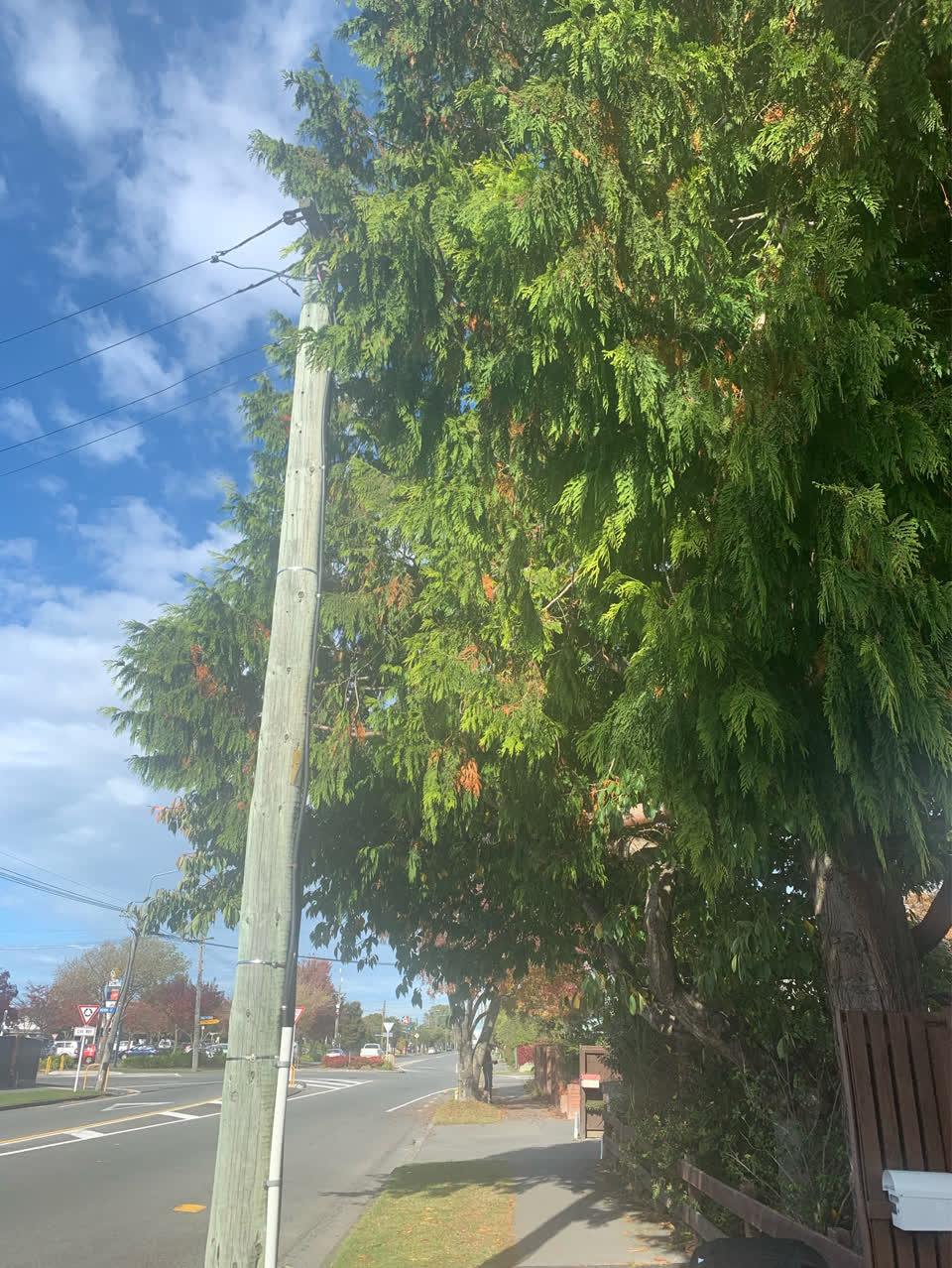 The photograph attached to this parks report