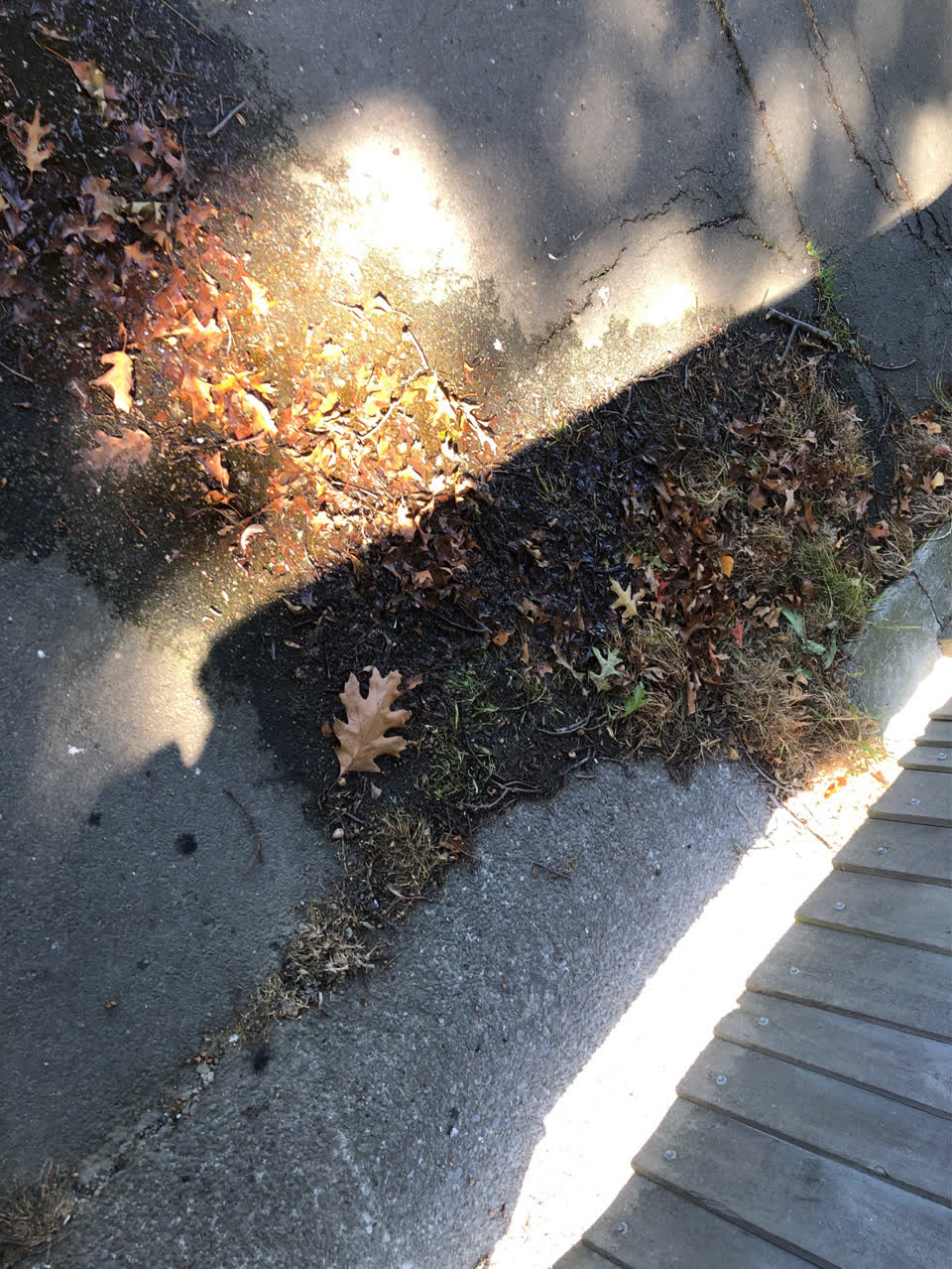 The photograph attached to this water supply report