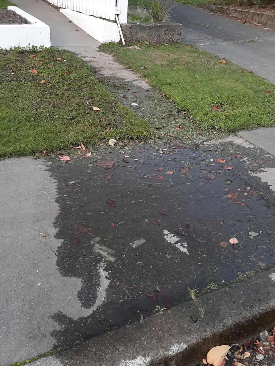 The photograph attached to this water supply report