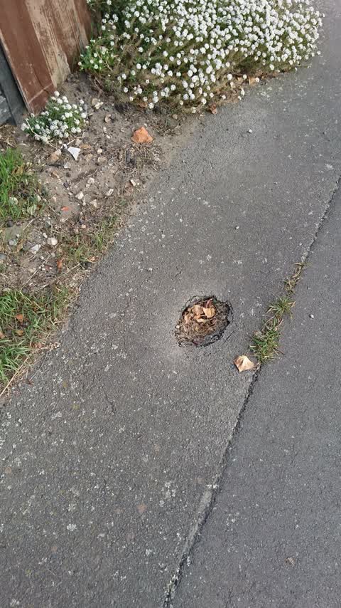 Roading/Streets, a report photo